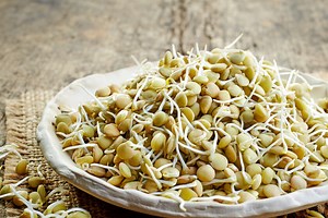 Cómo germinar lentejas, un método sencillo para hacerlo en casa y no fallar en el intento