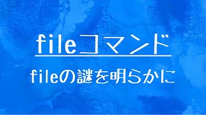 [10秒Linux]ざっくりわかる「fileコマンド」