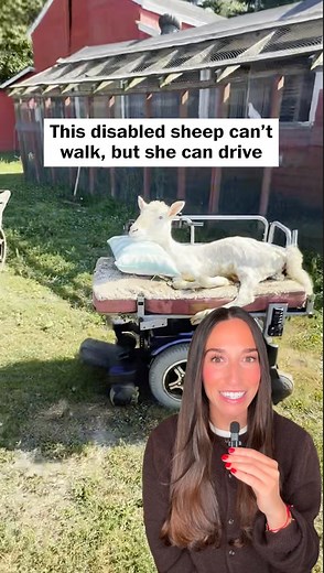 533K views · 5.6K reactions | The Sunday Scaries are real, but Kiki...