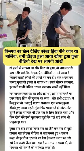 2 हफ्ते बाद मालिक से मिला कुत्ता! CCTV में कैद हुआ भावुक कर देने वाला पल 😭🐶