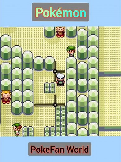 How To Solve Fortree City Gym Puzzle In Pokemon Emerald
