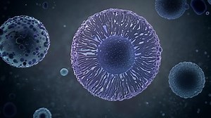 Premium stock video - Microscopic 3d render showcases cells multiplying and mutating within the body. ideal for enhancing science and medical presentations with detailed biological visuals