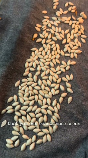 STOP Throwing Out Your Butternut Squash Seeds! 🍂