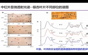 CL2909#红外宏观组学&ICP-OES难点分析