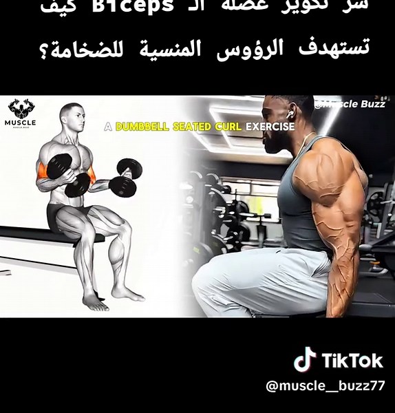 أسرار تكوير عضلة البايسبس والضخامة