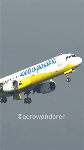 CEBU PACIFIC A321CEO takeoff at Manila Airport #shorts #aviation #a321neo #cebupacific #manila
