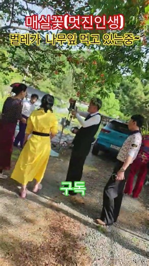 매실꽃(멋진인생)#이매선댄스tv(수원호매실)#사교동아리모집#사교댄스#01073352783