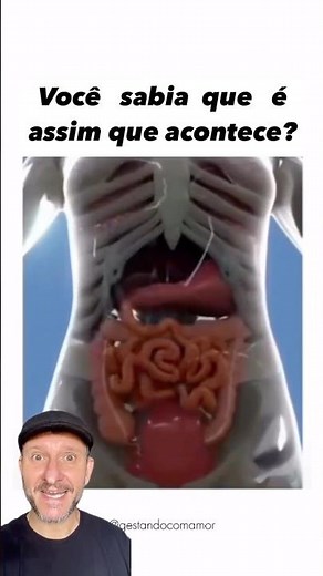 O que acontece na gravidez?
