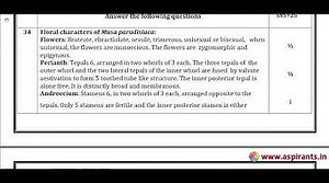 12th Botany (Pure Science) Public Exam March 2019 Answer Key English Medium Team Aspirants