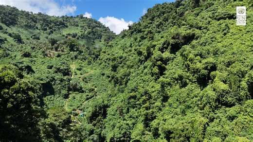 We are excited to see progress in the construction of the pico-hydro power station in Melsisi community on Pentecost Usland —an eco-friendly power station being built under the Vanuatu Green Energy Transformation (VGET) project, with generous funding from the Embassy of Japan in Vanuatu / 在バヌアツ日本国大使館 Vanuatu has one of the lowest electrification rates in the Pacific, with around two-thirds of the population lacking access to electricity, and many connected households facing unreliable and costly