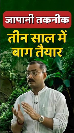 Miyawaki Forest Technique: How to Grow a Dense Forest 10x Faster