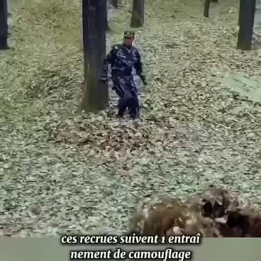 Short Film Compilation