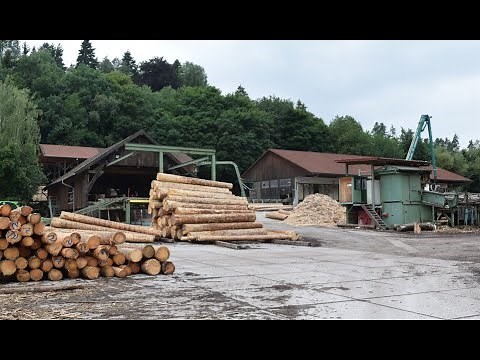 Sawmills Go Green: CO₂-Neutral Energy with Wood Gas Technology #sawmillbusiness #energysufficiency