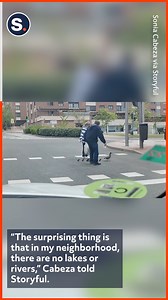 An elderly couple was escorted a family of ducks to safety! | storyful