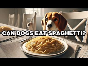 Can Dogs Eat Spaghetti? Explained