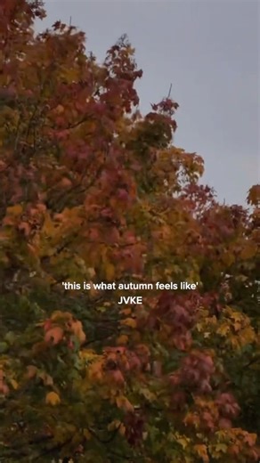 this sound has fall potential guys #autumn #fall #autumnfashion #fallfashion #autumnvibes #gilmoregirls #fallaesthetic #autumnaesthetic vid creds: @katerina.films | JVKE