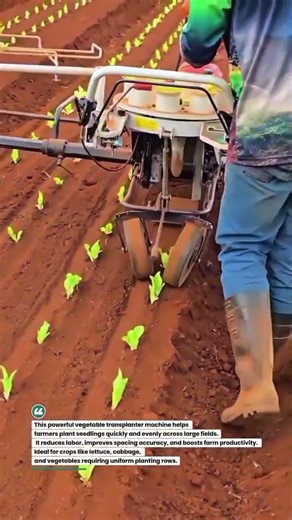 Fast Vegetable Transplanter Machine Precision Row Planting #FarmingTech#AgriInnovation #SmartFarming