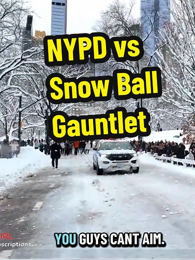 NYPD vs. Snowball Fight: Winter Fun in NYC