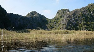 Scenic view of beautiful karst scenery, wetlands seen from the boat at Van Long Nature Reserve, Vietnam. Tourists traveling in small boat in tranquil landscape.