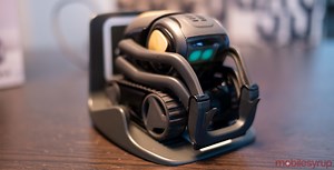 Ankis new Vector robot just wants to hang out with you