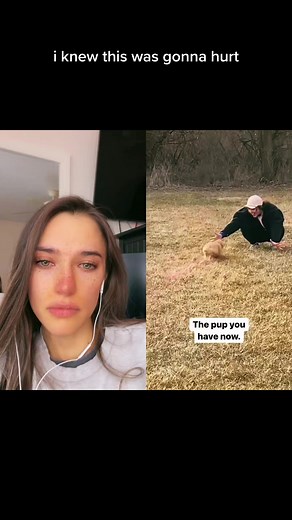 Heartwarming Compilation of Sad Puppy Videos to Make You Cry