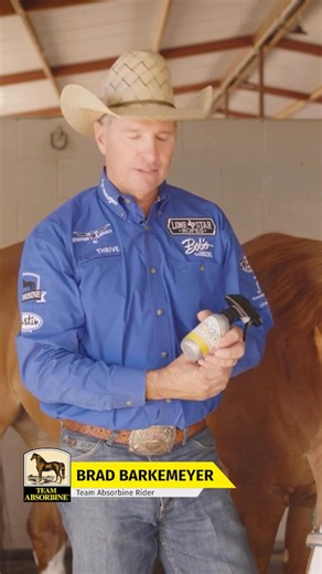 Dealing with scratches? Team Absorbine Sponsored Rider Brad Barkemeyer relies on Silver Honey® Rapid Skin Relief Vet Strength Scratches Spray to get the job done right. | Absorbine
