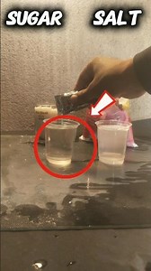 Salt vs Sugar with Shampoo: Mind-Blowing Result! 🧪✨