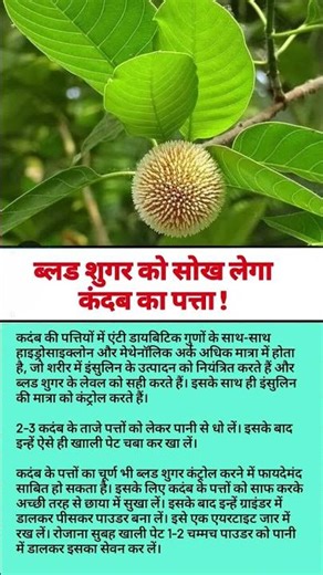 Jaya Kishori motivation quotes _ quotes_jayakishori _motivation _shorts _viral _video