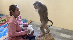 8.1K views · 606 reactions | Hilarious Jason Embarrass Mom Call Wear Diaper After Bathed | Monkey Jason | Facebook