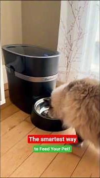 PetSafe Smart Feed Review – The Smartest Way to Feed Your Pet! 🐶🐱