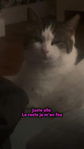 ✨starlette✨#coquette