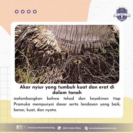 Makna Lambang Gerakan Pramuka Tunas Kelapa⚜️🥥