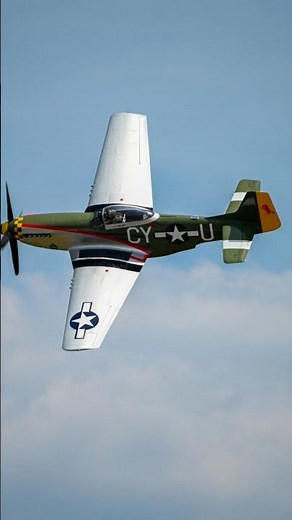 P-51D Mustang: WWII Long-Range Escort Fighter