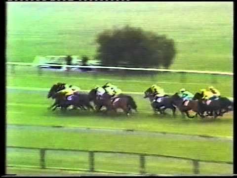 1981 1000 Guineas Stakes