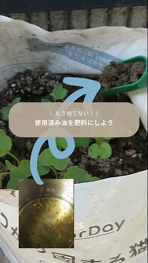 廃油を活用した簡単な肥料作り法