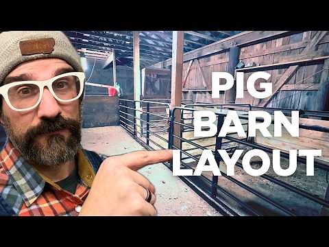 Pig Barn Design-Making Efficient Use Of Space On A Budget [Deep Dive!]