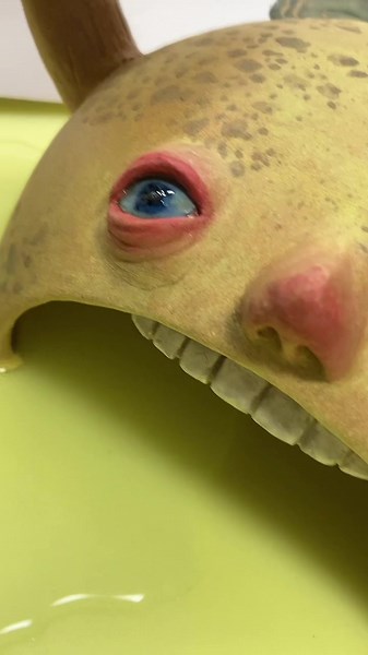 カエルのためのシェルター作り方