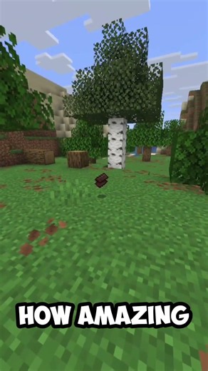 Netherite scrap