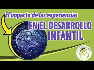 Las experiencias construyen la arquitectura cerebral