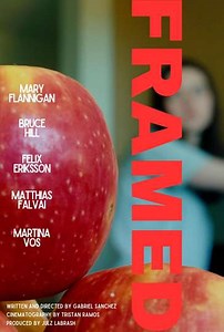 Framed - Movie