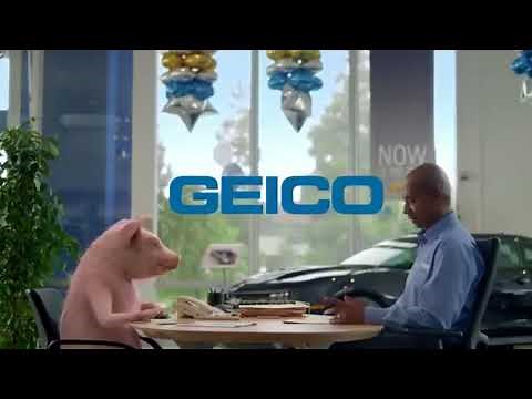 Funny Commercials Maxwell the Pig GEICO Insurance Commercial Collection