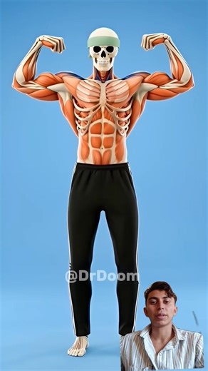 Push-Up Strength Test: Beginner vs Elite vs God Level | Hindi Fitness Challenge#shorts #facts