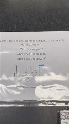 Biology video 6 ENZYME LAB
