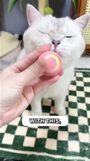 Interactive Smart Cat & Dog Toy – Keep Your Pets Entertained for Hours! 🐾🤖