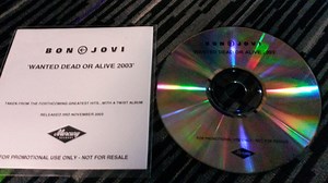 Bon Jovi - Wanted Dead Or Alive 2003