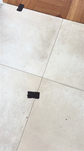 Talking Parrot: Cute Indian Ring Neck Videos