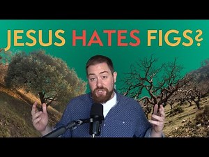 All Leaves and No Substance | The Fig Tree and The Triumphal Entry