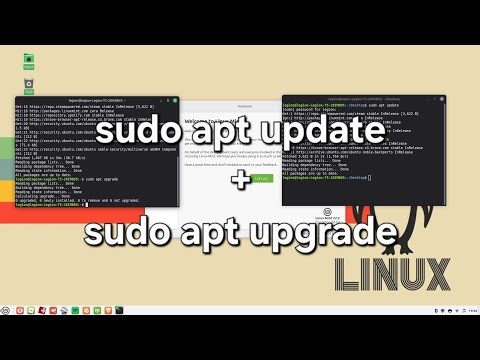 Do this every time you start Linux Mint to keep it minty fresh!
