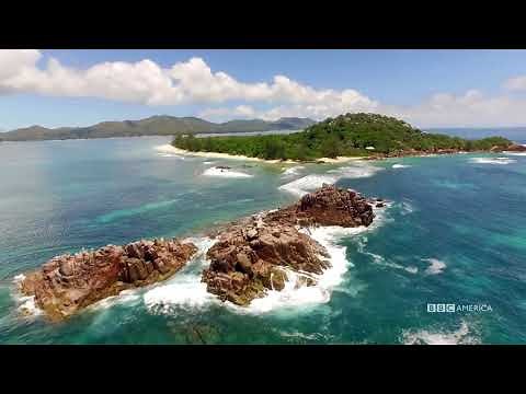 Visual Soundscapes - Islands | Planet Earth II | BBC America