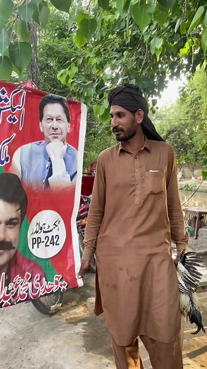 Imran Khan k Ashiq..🤣#foryoupage #fruitmandi786 #updating786 #رامےبرادرز #foryou @TiktokPakistanOfficial